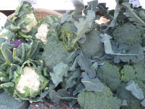 Broccoli and Cauliflower from Barber's Farm in Middleburgh