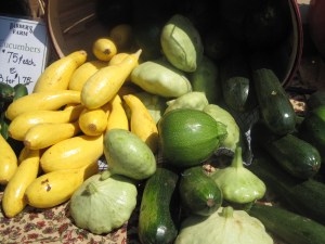 Squash!  Barner's Farm.