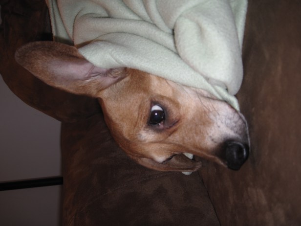 My mommy likes to humiliate me.