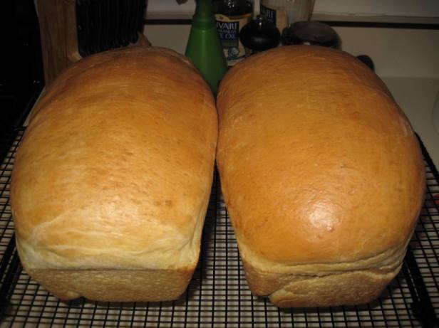 Week 11 Honey White Bread (23)